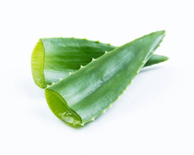 Beyaz arka planda duran aloe vera taze yaprakları. Tasarım için referans