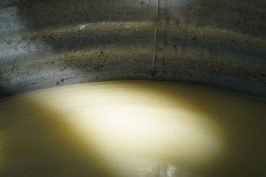 Meksika 'da el yapımı taze peynir.