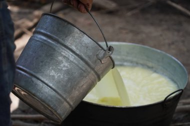 Meksika 'da el yapımı taze peynir.