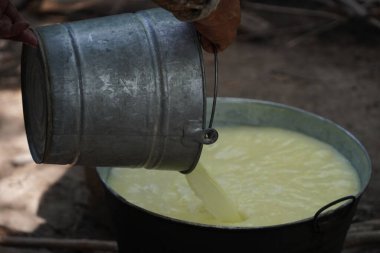 Meksika 'da el yapımı taze peynir.