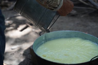 Meksika 'da el yapımı taze peynir.
