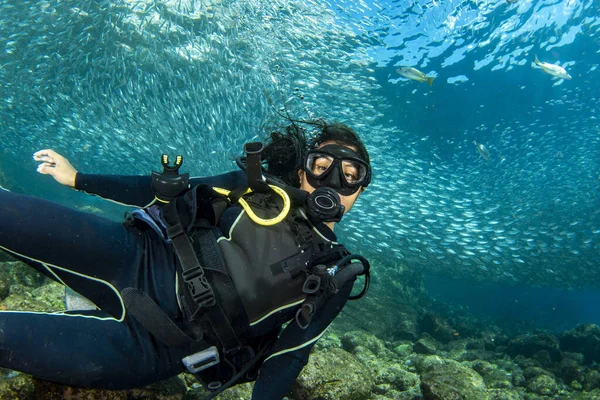 아름다운 라티나 멕시코 여자가 코르테즈 멕시코에 다이빙하는 — 스톡 사진