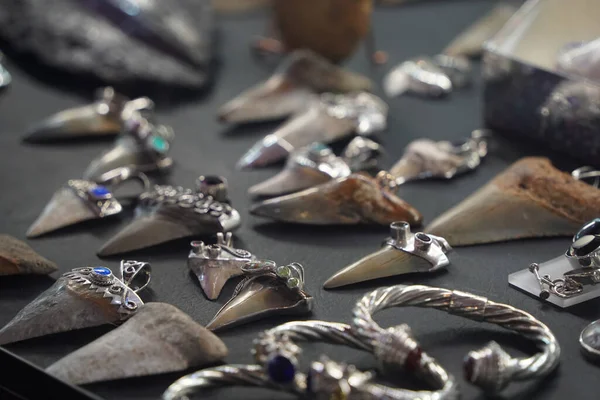 Haifischzähne Anhänger Juwelierladen — Stockfoto