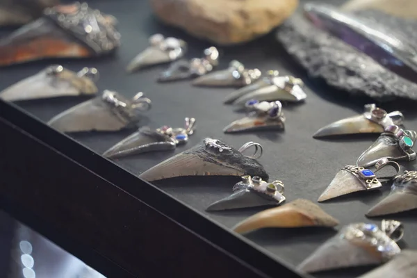 Haifischzähne Anhänger Juwelierladen — Stockfoto