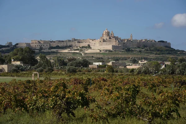 Medeltida Medina Malta Utsikt Stadsbild — Stockfoto
