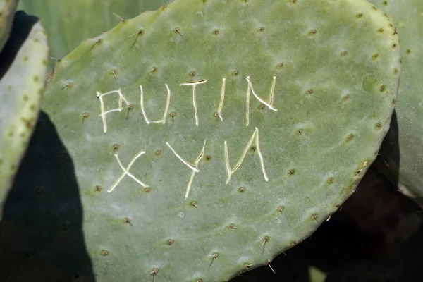 Escrevendo Putin Xyn Graffiti Esculpido Cacto — Fotografia de Stock