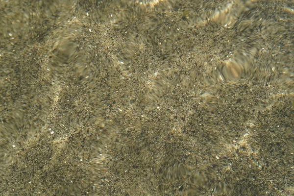 Νιφάδες Χρυσού Ποτάμι Κάτω Από Νερό — Φωτογραφία Αρχείου