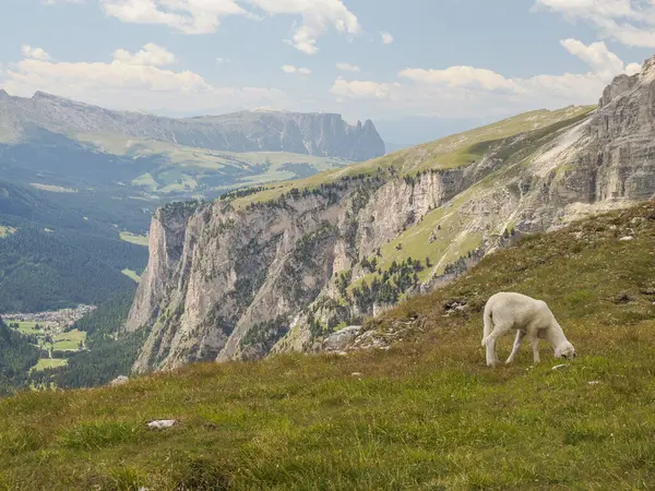 Sassongher Über Corvara Dolomiten Panoramalandschaft — Stockfoto