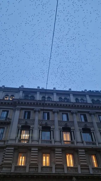 Starling Flock Sunset Saturate Sky Rome Italy — Stock Photo, Image