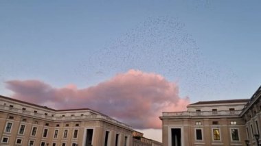 Gün batımında sığırcık sürüsü Roma, İtalya 'nın gökyüzünü doyuruyor.