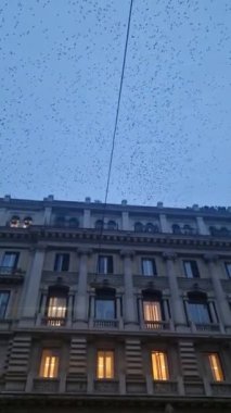 Gün batımında sığırcık sürüsü Roma, İtalya 'nın gökyüzünü doyuruyor.