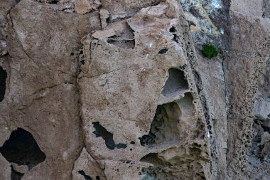 Baja california sur Cortez deniz kayaları detayı çok yakın.