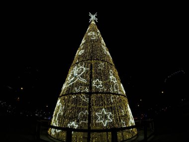 Cassidy aydınlandı Noel ağacı Castilla 'da, izole edilmiş bir yerde.