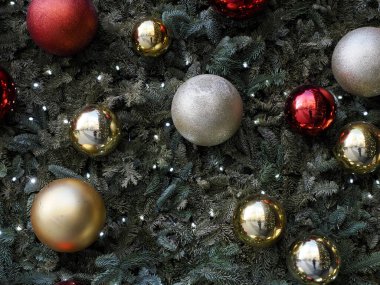 Madrid, Canalejas galerisindeki Noel ağacını aydınlattı.