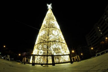 Cassidy aydınlandı Noel ağacı Castilla 'da, izole edilmiş bir yerde.