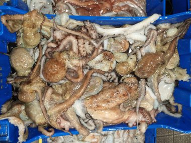 Balık pazarında canlı canlı yakalanan ahtapot.