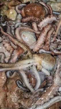 Balık pazarında canlı ahtapot.