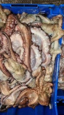 Balık pazarında canlı ahtapot.