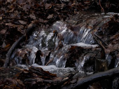 A beautiful small flowing river due to snow melt forming a clean cascade with fresh cool water surrounded by vegetation on a wild stone mountain
