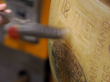hammer checking of dop Typical italian cheese Parmigiano Reggiano (parmesan)