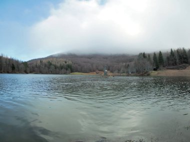 Beech forest with a very old tree in Calamone Ventasso Lake Italy in winter