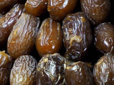 date palm in fes medina in Morocco