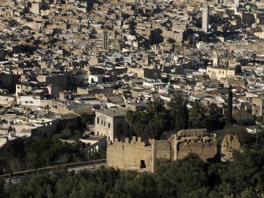 Aerial view of the Fez el Bali medina. Panorama cityscape of the oldest walled part of Fez, Morocco. Fes el Bali was founded as the capital of the Idrisid dynasty between 789 and 808 AD.