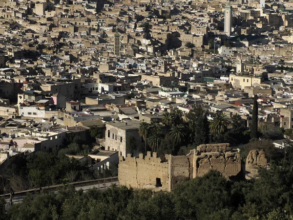 Aerial view of the Fez el Bali medina. Panorama cityscape of the oldest walled part of Fez, Morocco. Fes el Bali was founded as the capital of the Idrisid dynasty between 789 and 808 AD.