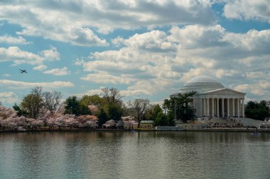 Washington 'da Amerika Birleşik Devletleri' nde kiraz çiçeği