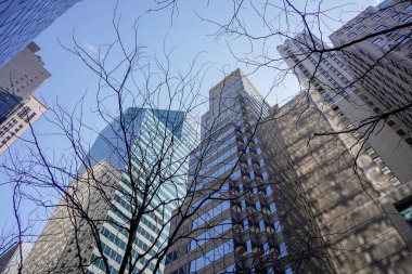 New York şehrinde ağaç çiçeği. Manhattan gökdelenleri. Güneşli bir günde sokaktan binanın tepesine kadar.