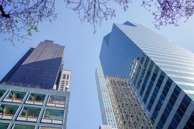 New York şehrinde ağaç çiçeği. Manhattan gökdelenleri. Güneşli bir günde sokaktan binanın tepesine kadar.