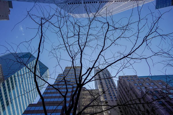 Drzewa Kwitną Nowym Jorku Manhattanie Drapacze Chmur Widok Ulicy Szczyt — Zdjęcie stockowe