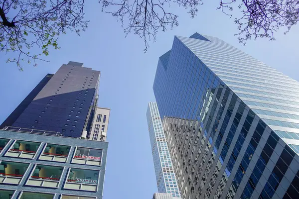 Träd Blomma New York Stad Manhattan Skyskrapor Utsikt Från Gatan — Stockfoto
