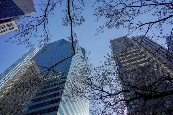 Drzewa Kwitną Nowym Jorku Manhattanie Drapacze Chmur Widok Ulicy Szczyt — Zdjęcie stockowe
