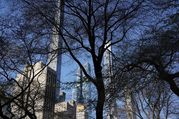 Central Park Stromy Větve New York City Manhattan Mrakodrapy Pohled — Stock fotografie