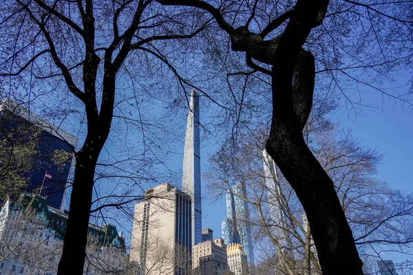 Arbres Parc Central Branches New York Ville Gratte Ciel Rotin — Photo