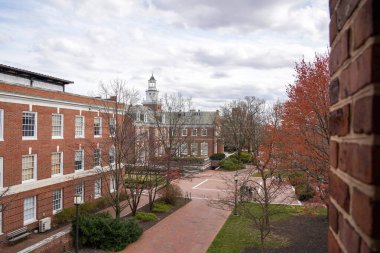 John Hopkins Üniversitesi Baltimore, Maryland. ABD
