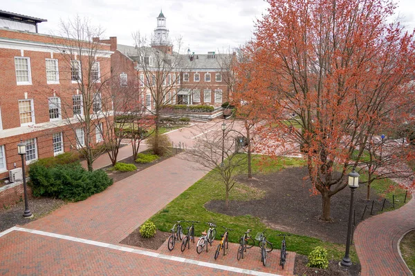 John Hopkins Universiteit Baltimore Maryland Verenigde Staten — Stockfoto