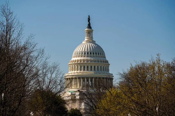 Washington Capitol Detalhe Eua — Fotografia de Stock
