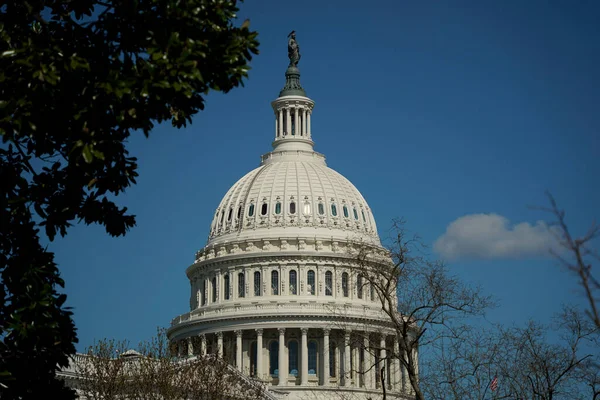 가지씻는 Washington Capitol Details — 스톡 사진