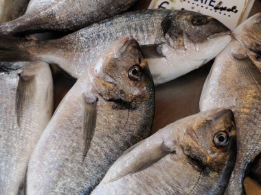 Ortigia 'daki balık pazarı detayı Sicilya, İtalya