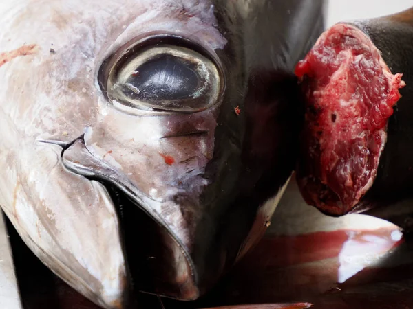 stock image fresh red tuna at Fish market detail in Ortigia old wown siracuse, Sicily, Italy