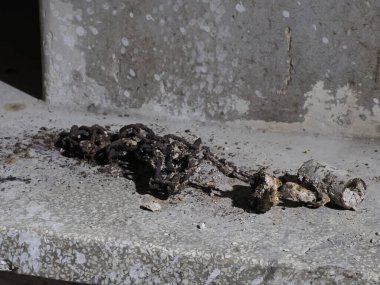 Giudecca Yahudi bölgesi Ortigia, Syracuse, Sicilya, İtalya 'daki San Filippo Apostolo Kilisesi altında savaş sığınağı.