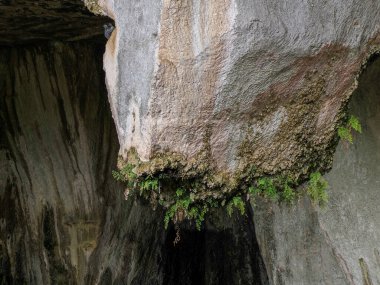 İtalya 'nın Syracuse kentindeki Yunan Roma tiyatrosunda bulunan Dionysos ve Nymphaeum Mağarası (Grotta del Ninfeo) yapay mağarası
