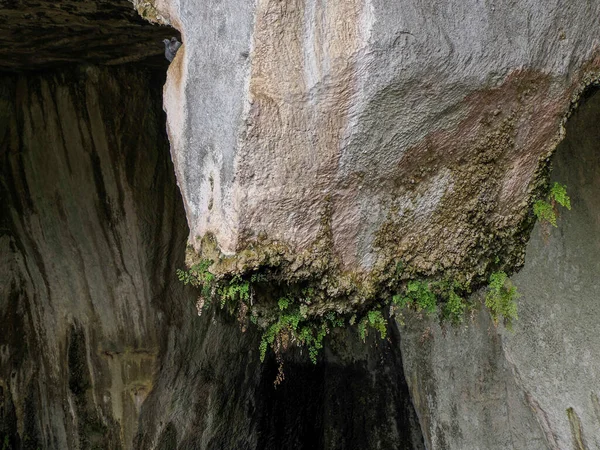ディオニソスの耳とニンファウムの洞窟 ニンファオ イタリア シラキュースのギリシャローマ劇場の人工洞窟 — ストック写真