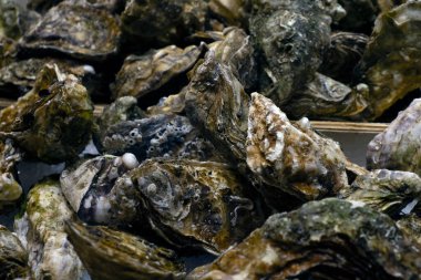 İstiridye Boqueria. Barselona Meyveli Deniz Ürünleri Jambon Marketi.