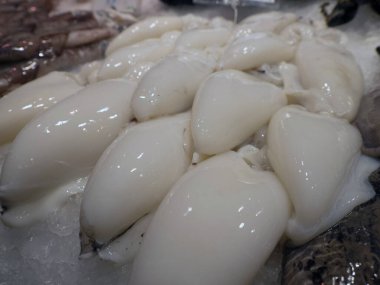 mürekkep balıkları boqueria Barselona meyveli deniz ürünleri jambon pazarı.