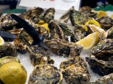 İstiridye Boqueria. Barselona Meyveli Deniz Ürünleri Jambon Marketi.