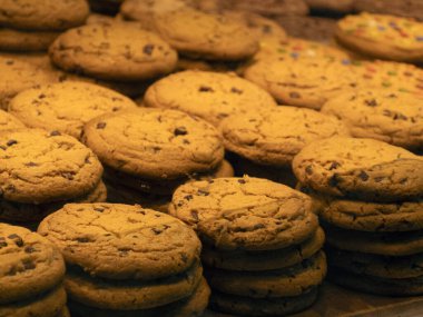 bisquit boqueria Barselona meyveli deniz ürünleri jambon pazarı