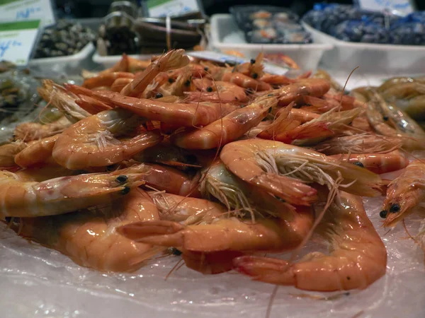 Shrimps Boqueria Barcelona Fruit Seafood Meat Ham Food Market — Stock Photo, Image